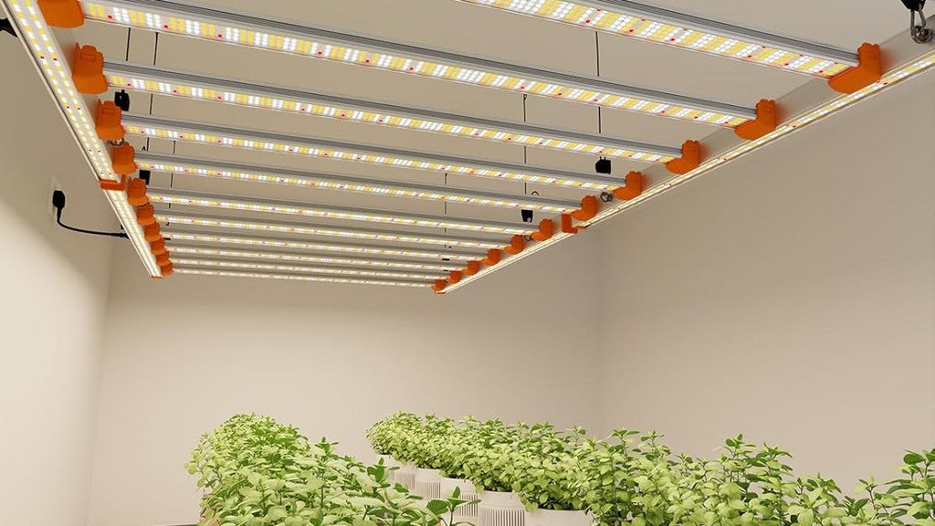 Grow Light Height Guide