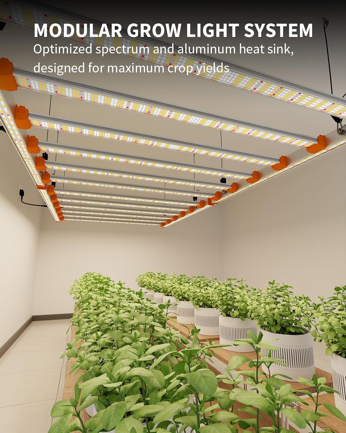 EDGE X720 in Real Grow Room Setup