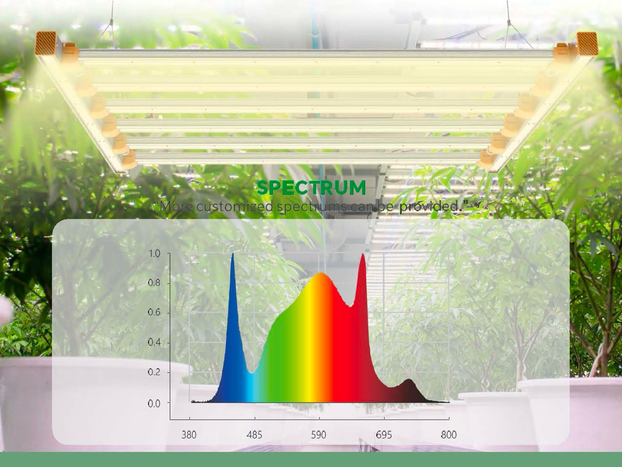 Full Spectrum Lighting