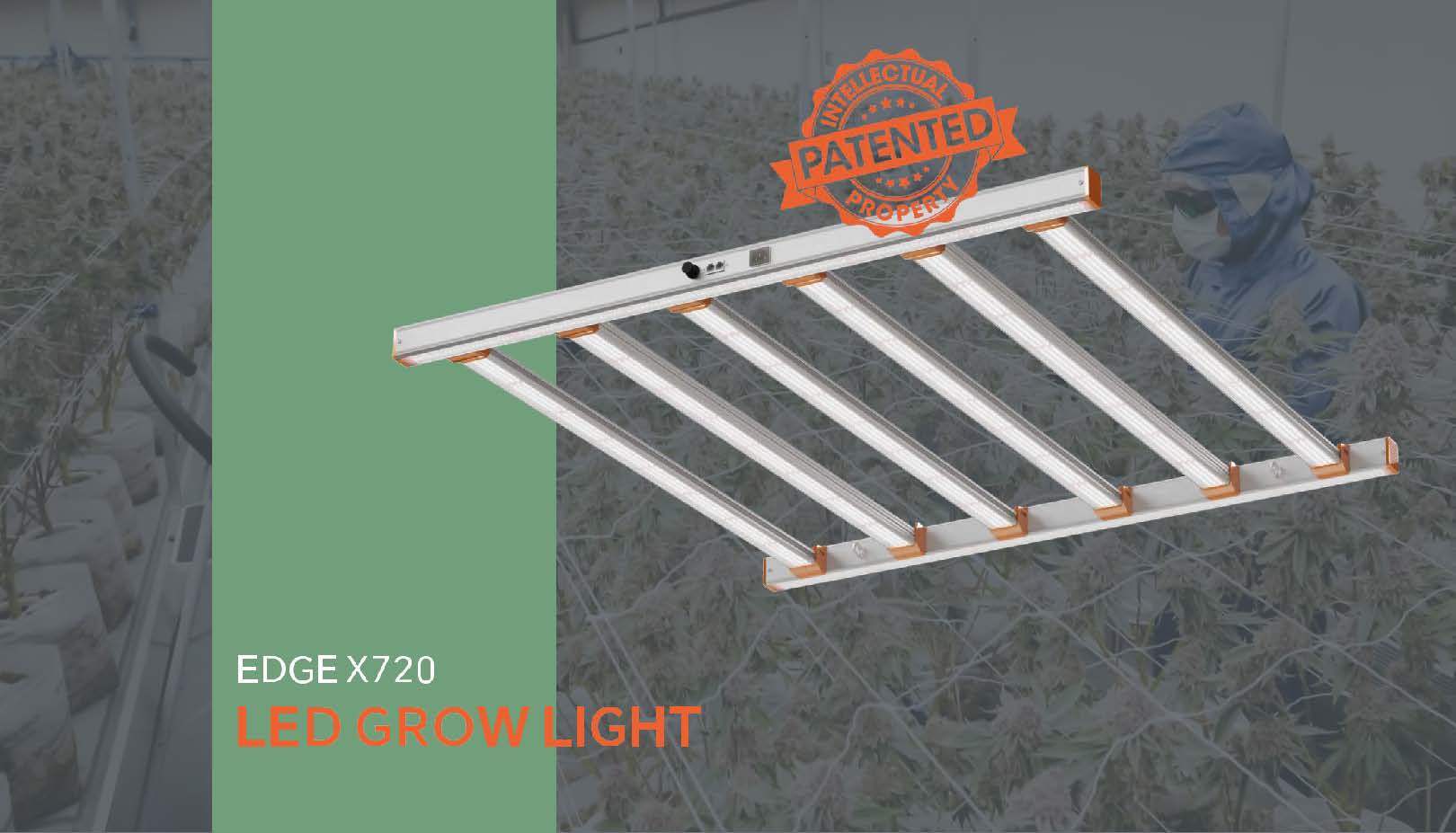 Indoor grow room with Aevorium LED grow lights